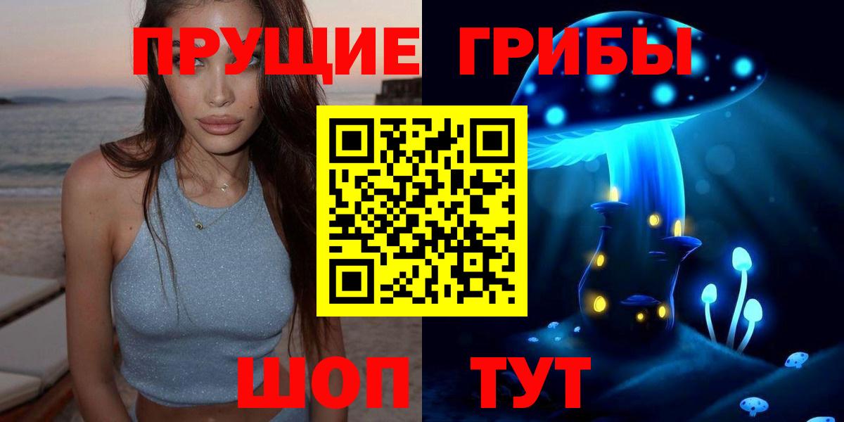 Петрозаводск  Псилоцибиновые грибы мицелий  Вход с VPN  Псилоцибиновые грибы мухоморы 