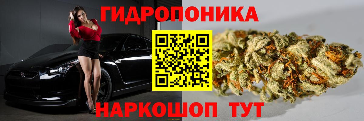 Петрозаводск  Каннабис индика  Бошки марихуана индика  Каннабис сатива  Вход с VPN 