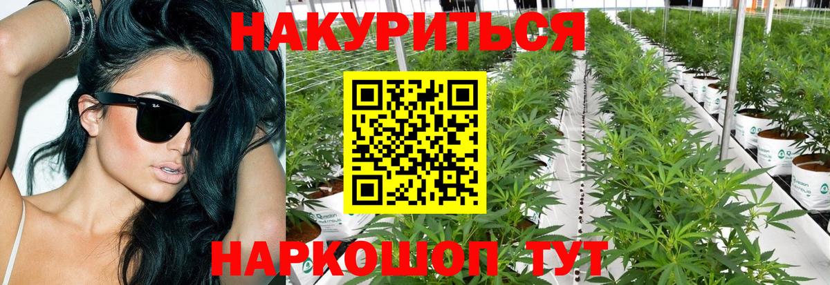 Каннабис гибрид Петрозаводск